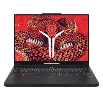 Ноутбук Lenovo Legion R7000P ADR10 AMD Ryzen 9-8945HX/16Gb/1Tb/RTX5070/16' 2560x1600/Win 11